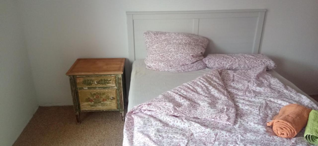 Grosses Zimmer Bad Kueche Wohnzimmer Terasse Garten Zentral Ruhig 莱希河畔兰茨贝格 外观 照片
